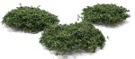 (image for) Wild Bushes - Medium Green - 20pc