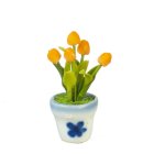 (image for) Tulip in Pot Gold