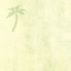 (image for) PP Wallpaper - Green Palm Trees - 3pc