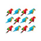 (image for) Parrot Set 12pc