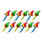 (image for) Macaw Set 12pc