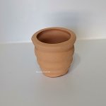 (image for) Fancy Clay Urn Pot Planter