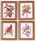 (image for) Framed Rectangle Bird Picture Set 4pc