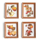 (image for) Framed Rectangle Fruit Picture Set 4pc