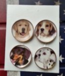 (image for) Decorative Dog Breeds Plates 4pc Set 2