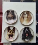 (image for) Decorative Dog Breeds Plates 4pc Set 3