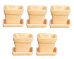 (image for) Plant Pots w/ Base Peach 5pc