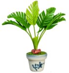 (image for) Potted Palm Tree