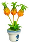 (image for) Potted Pineapple Plant