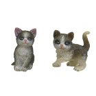 (image for) Kittens 2pc