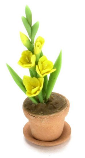 (image for) Yellow Gladiolus in Clay Pot