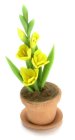 (image for) Yellow Gladiolus in Clay Pot