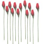 (image for) Rosebud Stems 12pc