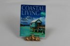 (image for) Coastal Living Sunny Escape Magazine