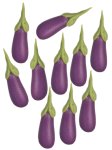 (image for) Eggplants 5pc