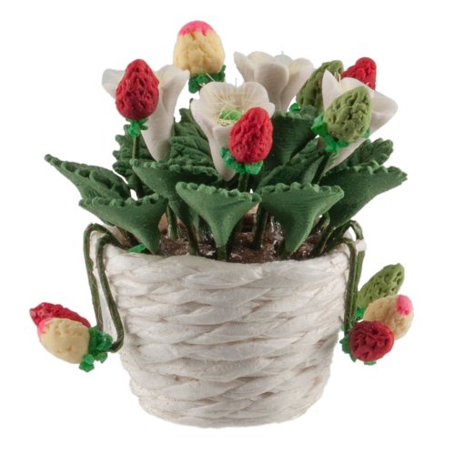 (image for) Strawberry Plant in White Basket