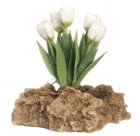 (image for) White Tulips On Rock