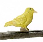 (image for) Norwich Fancy Canary