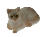 (image for) Siamese Cat Brown & White