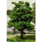 (image for) 6 Inch Tree 2pc