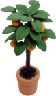 (image for) Orange Tree in Clay Pot