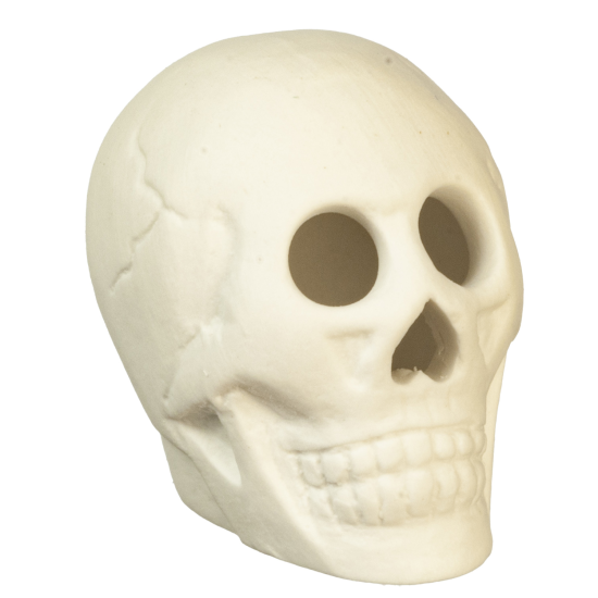 (image for) Skull