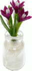 (image for) Magenta Bulbs with Roots in Glass Jar