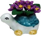 (image for) Violet Flowers in Turtle Planter