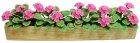 (image for) Pink Geraniums in 5-1/2" Window Box