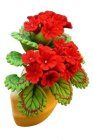 (image for) Red Geraniums in Wall Sconce