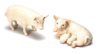 (image for) Pigs 2pc Set