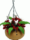 (image for) Red & White Hanging Flower Arrangement