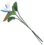 (image for) Single White Bird of Paradise Flower w/ Leaves