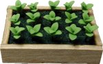 (image for) Seedlings in Flat