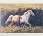 (image for) Horses on Canvas