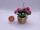 (image for) Pink Geraniums in Hanging Planter