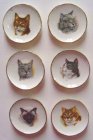 (image for) Cat Plates 6pc