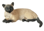 (image for) Siamese Cat