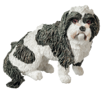 (image for) Lhaso Apso