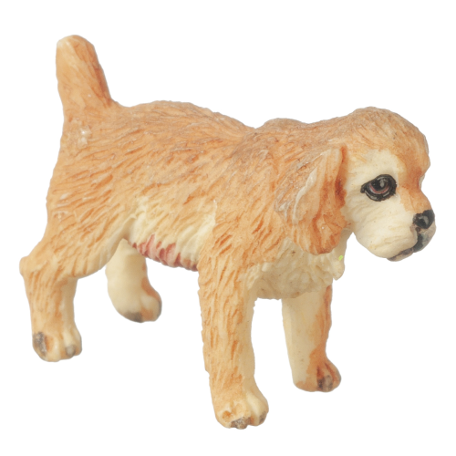 (image for) Cocker Spaniel