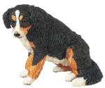 (image for) Burnese Mountain Dog