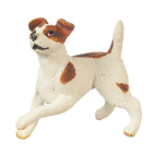 (image for) Jack Russel Terrier