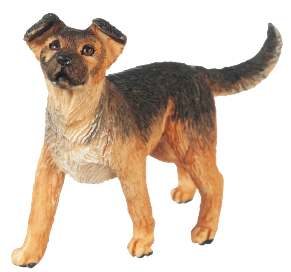 (image for) Mixed Breed Shepherd