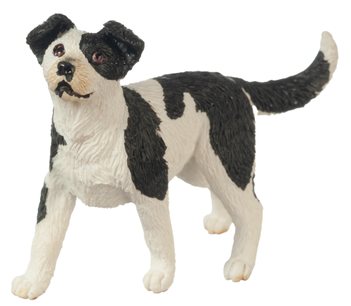 (image for) Mixed Breed Dog Black/White