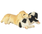 (image for) Pair of Puppies Sleeping