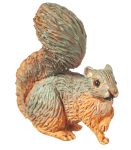 (image for) Squirrel