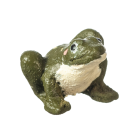 (image for) Frog