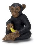 (image for) Chimpanzee w/ Banana