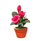 (image for) Pink Roses in a Clay Pot