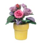 (image for) Violet & Pink Roses in a Yellow Pot